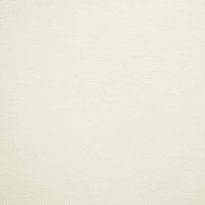 Kasmir Linings Enhance White