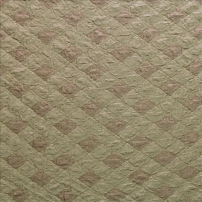 Kasmir EVANS TIGERLILY