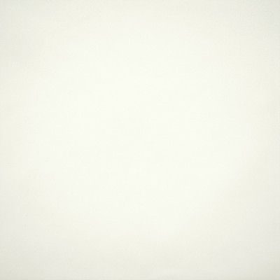 Kasmir Linings FR 7040 White