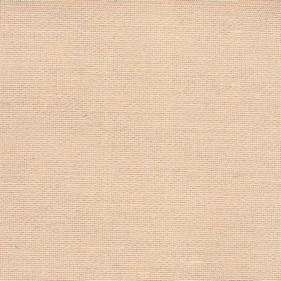 Kasmir FAULKNER NECTAR