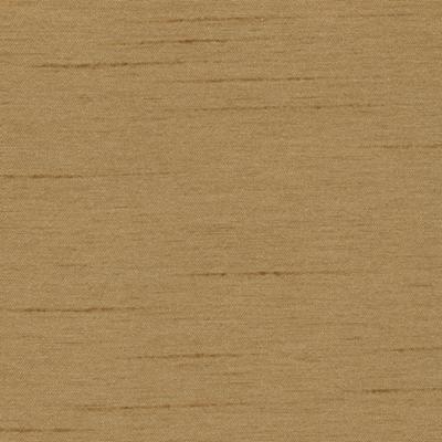 Kasmir Firenza Brush