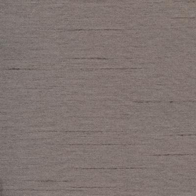 Kasmir Firenza Charcoal