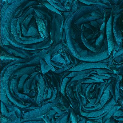 Kasmir Floribunda Rose Turquoise