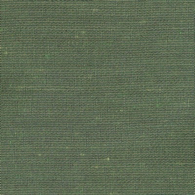 Kasmir FOXWORTH GREEN