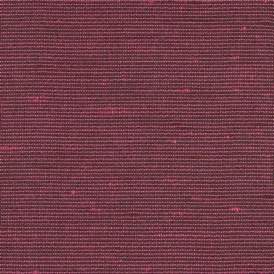 Kasmir FOXWORTH RASPBERRY