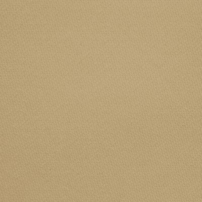 Kasmir Linings Gem Putty