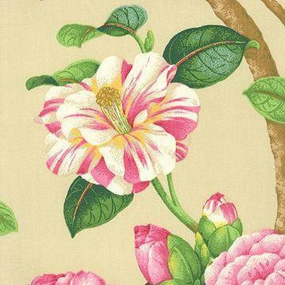 Kasmir GREENBRIAR VANILLA