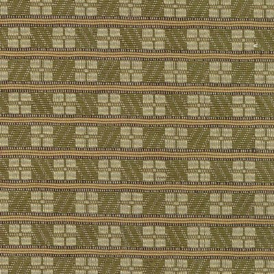 Kasmir GRIMES LICHEN