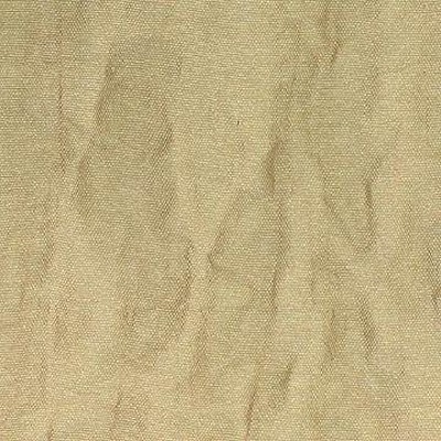 Kasmir ILLUMINATE CACTUS