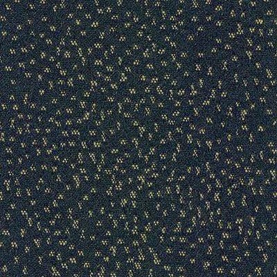 Kasmir KIRKPATRICK COAL