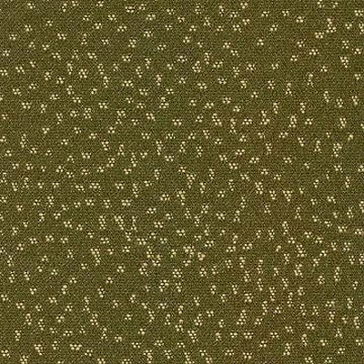 Kasmir KIRKPATRICK GRASS