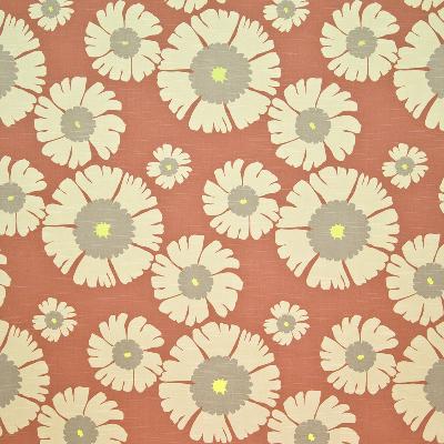 Kasmir Lazy Daisy Tangelo