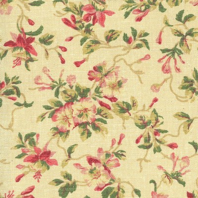 Kasmir LEONA TEASTAIN