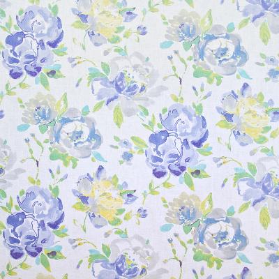 Kasmir Longdale Park Blue Ice