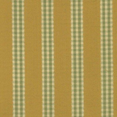 Kasmir MARION GOLDENROD