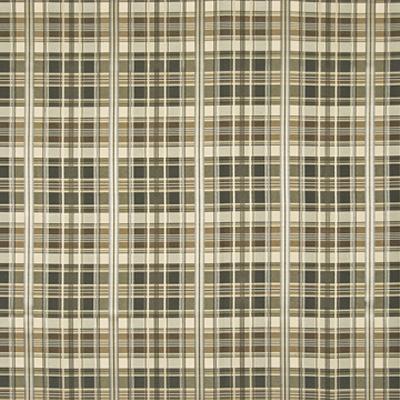 Kasmir Merengue Shadow