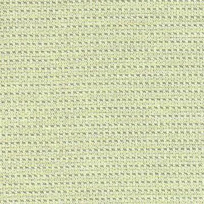 Kasmir MITCHELL MINT