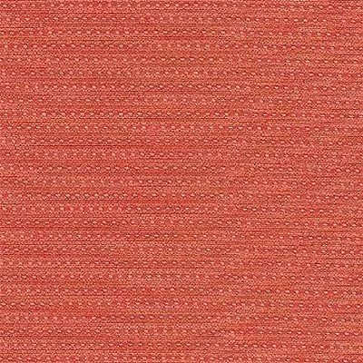 Kasmir MITCHELL ZINNIA