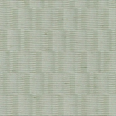 Kasmir OLSON LETTUCE