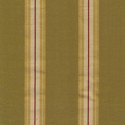 Kasmir Palace Stripe Evergreen