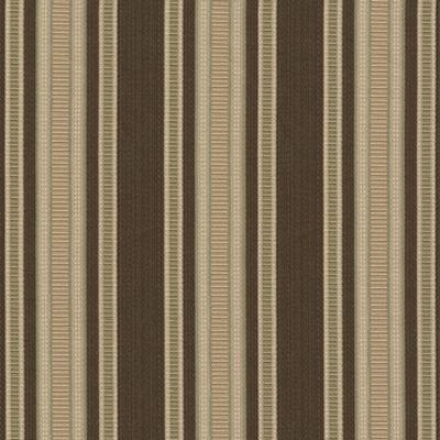 Kasmir Panache Stripe Souffle