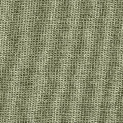 Kasmir PARKINGTON FERN