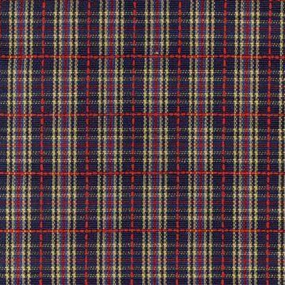 Kasmir PLAID 310 DRESDEN
