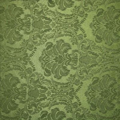 Kasmir REBECCA LICHEN