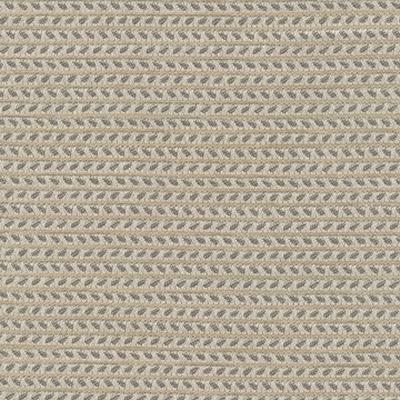 Kasmir Rice Paddy IO Silver