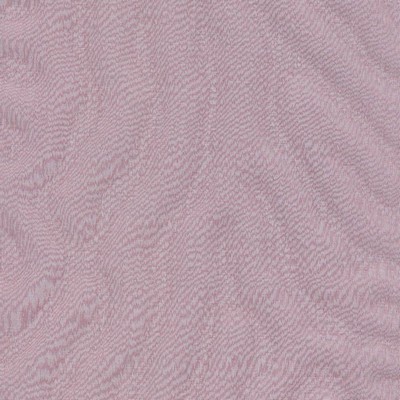 Kasmir SHACKLETON AUBERGINE