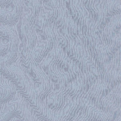 Kasmir SHACKLETON LAPIS