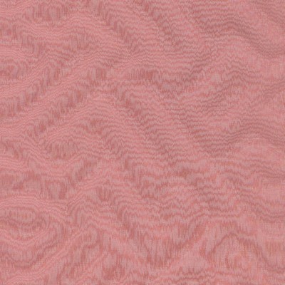 Kasmir SHACKLETON RUBY