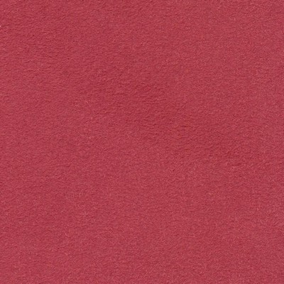 Kasmir SHAW CARNATION