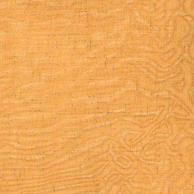 Kasmir SHAYNA CITRUS