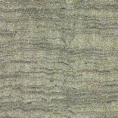 Kasmir SHORELINE MINT