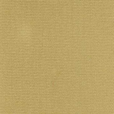 Kasmir SP214 AVOCADO