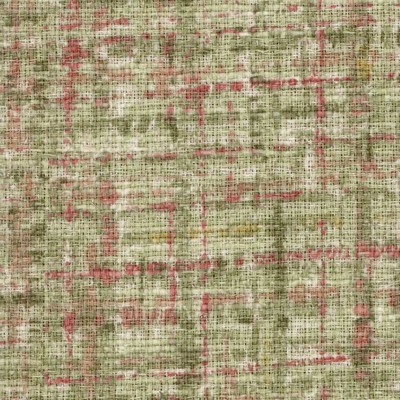 Kasmir STAFFORD CELERY