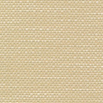 Kasmir Standing Ovation Sunlight