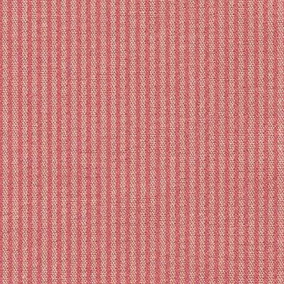 Kasmir STRIPE 205 CORAL