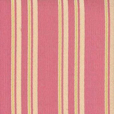 Kasmir STRIPE 475 CARNATION