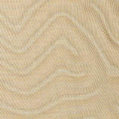 Kasmir SUNLIGHT GINGER