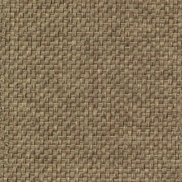 Kasmir Thatcher Texture Taupe