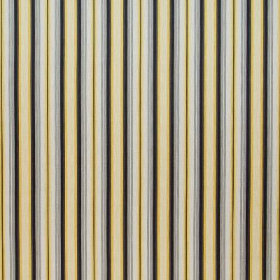 Kasmir Tilden Stripe Midas