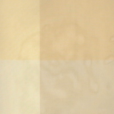 Kasmir TOMPKINS AMBER