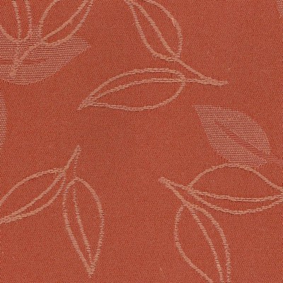 Kasmir TRIXIE SIENNA