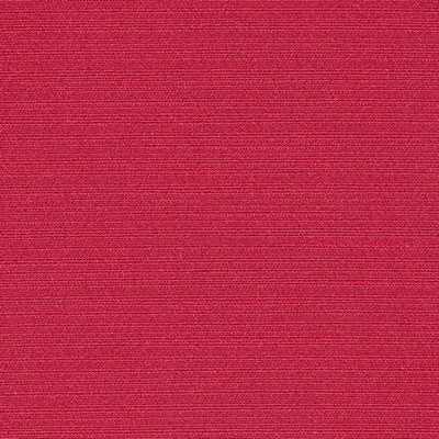 Kasmir TUDOR GERANIUM