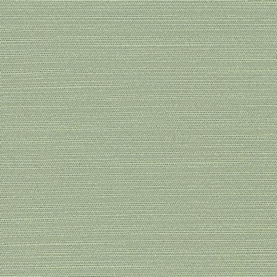 Kasmir TUDOR SEASPRAY