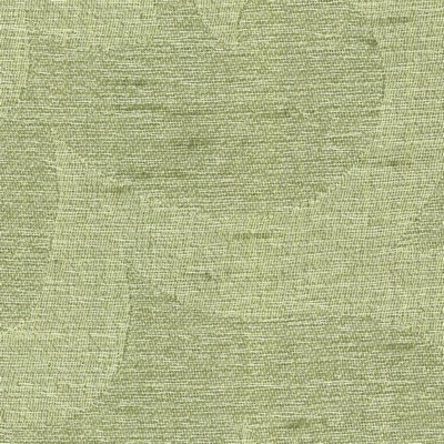 Kasmir TUNISIA CELERY