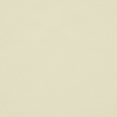 Kasmir Linings Twilight Suede Ivory