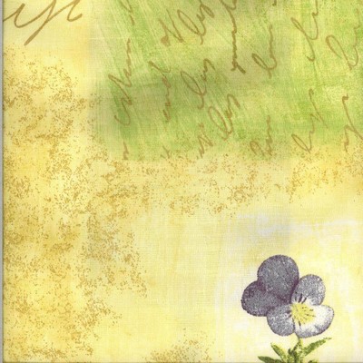 Kasmir WALSTON CHIFFON